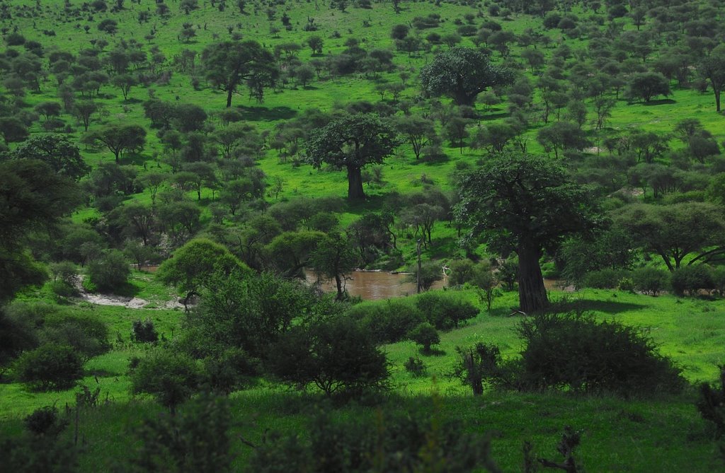 Formations en sécurité industrielle, RSE et développement environnemental et durable pour des projets en Côte d'Ivoire, Congo, Guinée